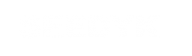 Seedyk